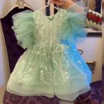 Mint Green Sequin Embroidered Dress with Ruffle Sleeves – Baby Girl Party Frock